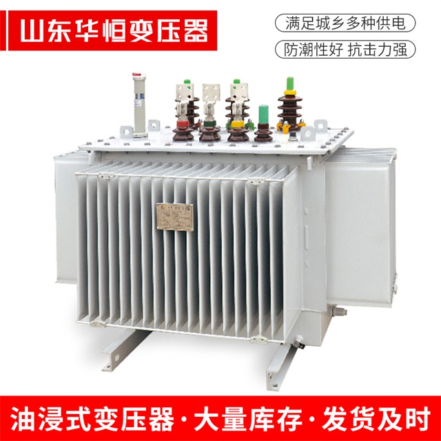 S13-10000/35迭部迭部迭部电力变压器